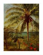 Albert Bierstadt Palm Tree, Nassau by Albert Bierstadt painting